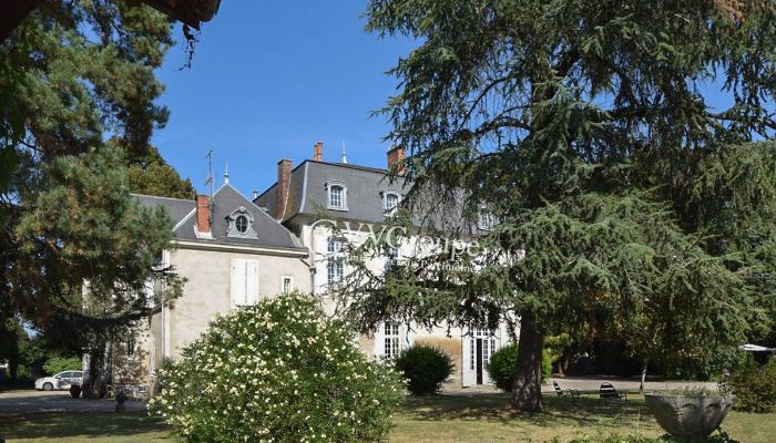 Manor House for sale Villeneuve-sur-Lot, New Aquitaine,  France