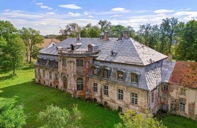 Castle for sale Minkowskie, Minkowskie  69, Opole Voivodeship, Photo 1/43