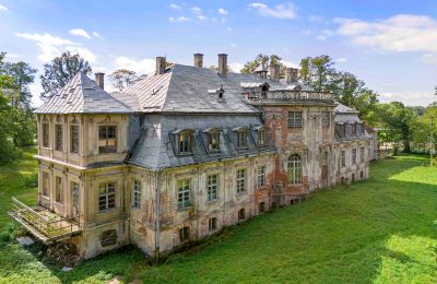 Castle for sale Minkowskie, Minkowskie  69, Opole Voivodeship, Photo 10/43