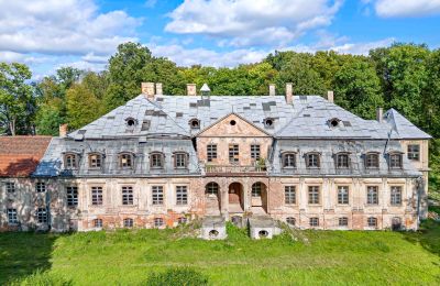 Castle for sale Minkowskie, Minkowskie  69, Opole Voivodeship, Photo 2/43