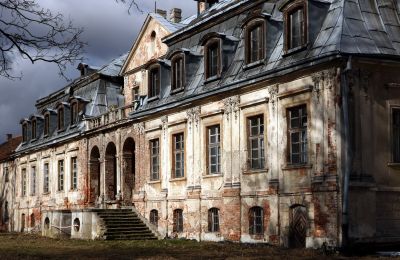 Castle for sale Minkowskie, Minkowskie  69, Opole Voivodeship, Photo 3/43