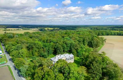 Castle for sale Minkowskie, Minkowskie  69, Opole Voivodeship, Photo 40/43