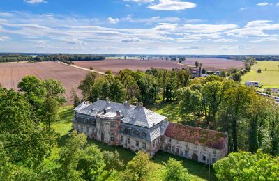 Castle for sale Minkowskie, Minkowskie  69, Opole Voivodeship, Photo 5/43