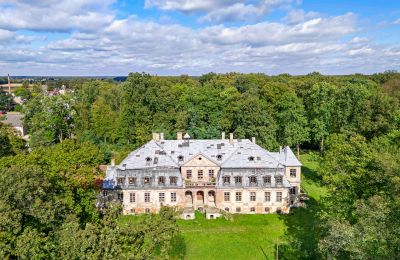 Castle for sale Minkowskie, Minkowskie  69, Opole Voivodeship, Photo 7/43