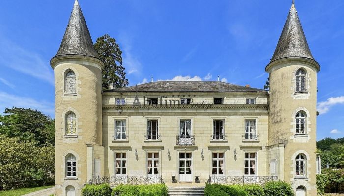 Castle Centre-Loire Valley