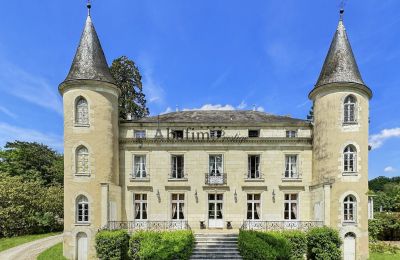 Castle Centre-Loire Valley