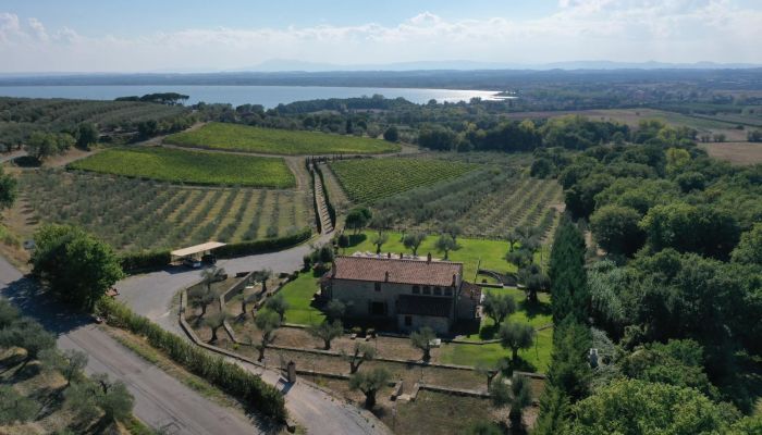 Farmhouse Tuoro sul Trasimeno 2