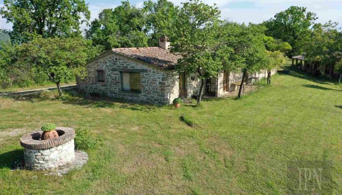 Historic property Gubbio 4