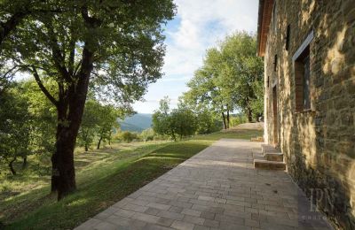 Farmhouse for sale 06029 Valfabbrica, Umbria, Photo 18/49