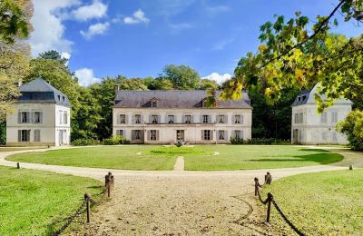 Castle for sale Bourgogne-Franche-Comté, Manor