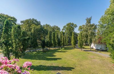 Castle for sale Mgowo, Kuyavian-Pomeranian Voivodeship, Palace Garden