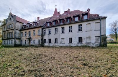 Castle for sale Grabiszyce Średnie, Lower Silesian Voivodeship, Back view