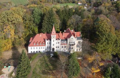 Castle for sale Grabiszyce Średnie, Lower Silesian Voivodeship, Pałac Grabiszyce Średnie