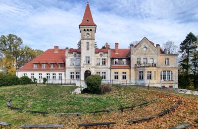 Castle for sale Grabiszyce Średnie, Lower Silesian Voivodeship, Front view