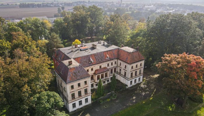 Castle Wojnowice 1