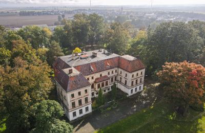 Castle for sale Wojnowice, Pałacowa, Silesian Voivodeship, Drone view