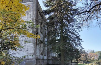 Castle for sale Górki Dąbskie, Pałac w Górkach Dąbskich, Kuyavian-Pomeranian Voivodeship, Photo 13/22