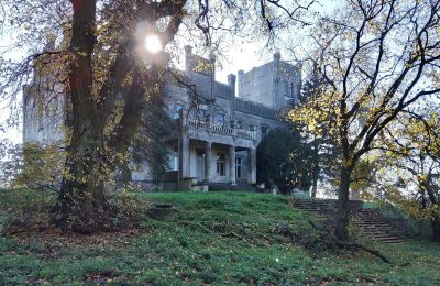 Castle for sale Górki Dąbskie, Pałac w Górkach Dąbskich, Kuyavian-Pomeranian Voivodeship, Photo 14/22