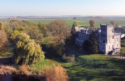 Castle for sale Górki Dąbskie, Pałac w Górkach Dąbskich, Kuyavian-Pomeranian Voivodeship, Property location