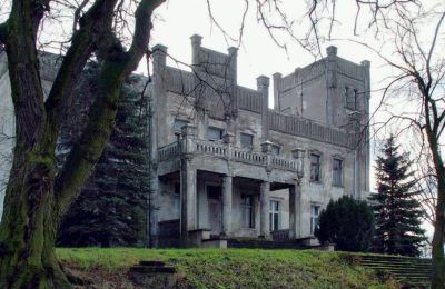 Castle for sale Górki Dąbskie, Pałac w Górkach Dąbskich, Kuyavian-Pomeranian Voivodeship, Photo 21/22