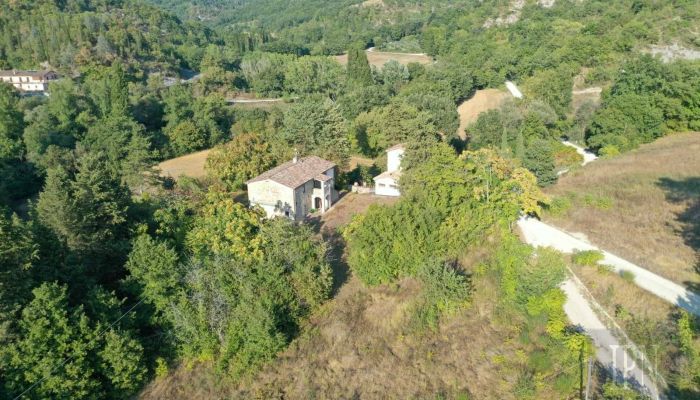 Historic property Montone 3