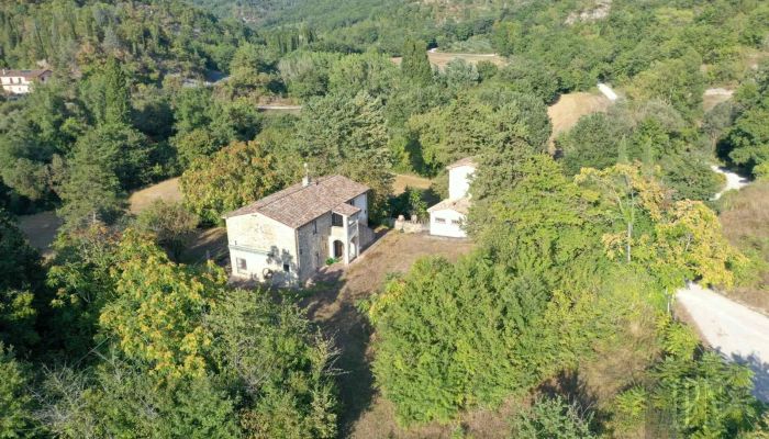 Historic property Montone 4