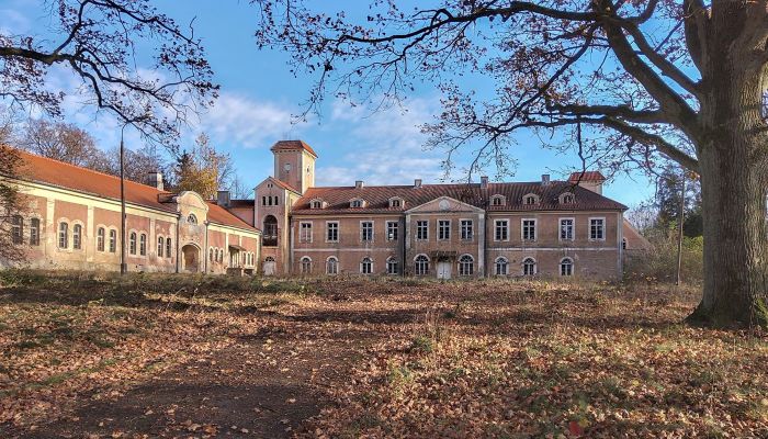 Castle for sale Dobrocin, Warmian-Masurian Voivodeship,  Poland