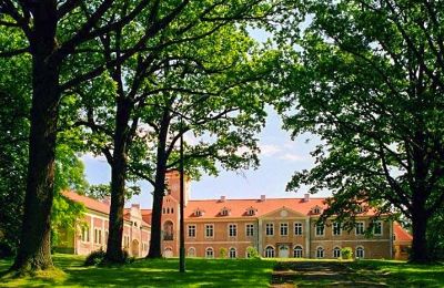 Castle for sale Dobrocin, Pałac w Dobrocinie, Warmian-Masurian Voivodeship, Historic View