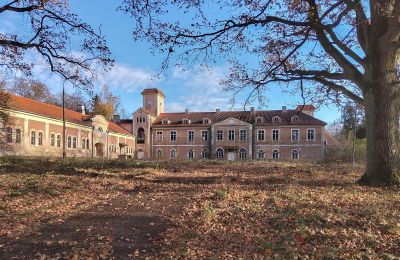 Castle for sale Dobrocin, Pałac w Dobrocinie, Warmian-Masurian Voivodeship, Front view