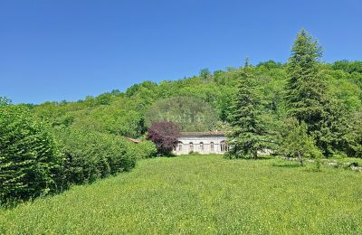 Manor House for sale Nestier, Occitania, Photo 27/28