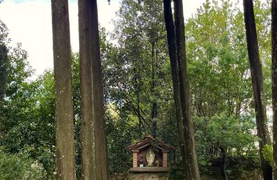 Monastery for sale Pescia, Tuscany, Photo 30/47