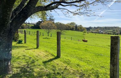 Farmhouse for sale Melide, Cabazás, Galicia, Campo de la propiedad