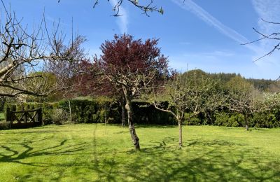 Farmhouse for sale Melide, Cabazás, Galicia, Garden