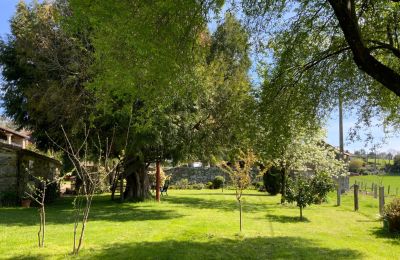 Farmhouse for sale Melide, Cabazás, Galicia, Garden