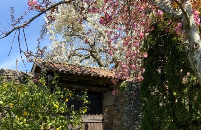 Farmhouse for sale Melide, Cabazás, Galicia, Carriage entrance