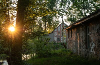 Manor House for sale Virķēni, Virķēnu muiža, Vidzeme, Photo 8/23