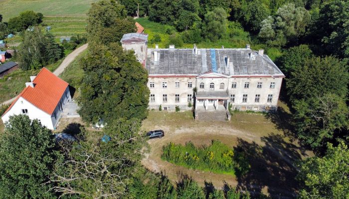 Castle for sale Nerwiki, Warmian-Masurian Voivodeship,  Poland