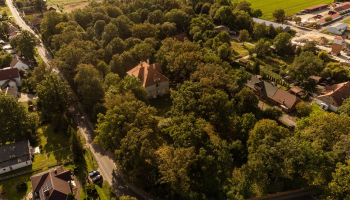 Castle Wilków 2