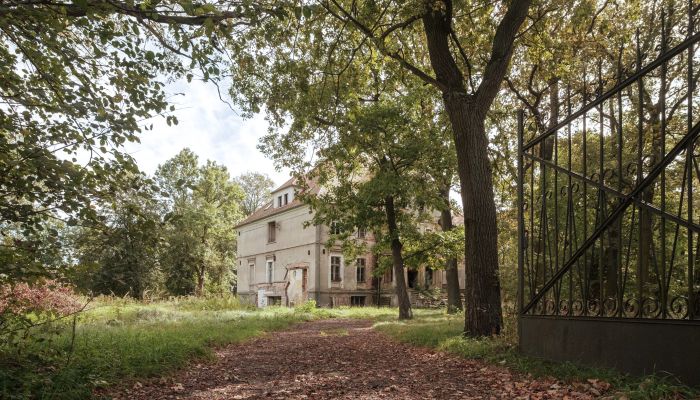 Castle Wilków 3