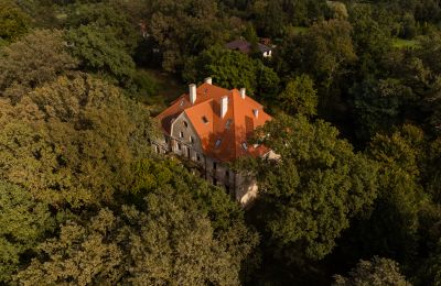 Castle for sale Wilków, Parkowa 1, Opole Voivodeship, Drone view