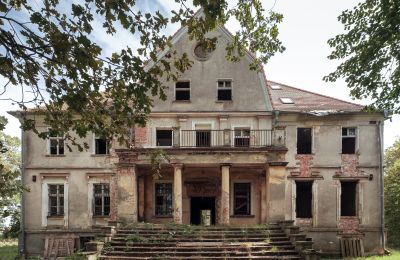 Castle for sale Wilków, Parkowa 1, Opole Voivodeship, Front view