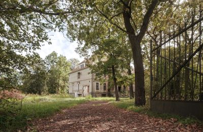 Castle for sale Wilków, Parkowa 1, Opole Voivodeship, Access