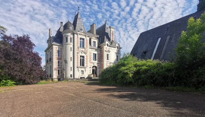 Castle for sale Le Mans, Pays de la Loire,  France