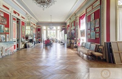 Castle for sale Le Mans, Pays de la Loire, Large Hall