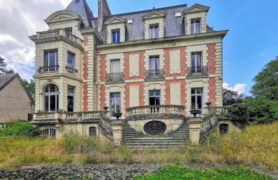 Castle for sale Le Mans, Pays de la Loire, Back view