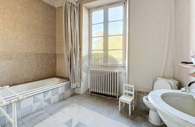 Castle for sale 31000 Toulouse, Occitania, Bathroom