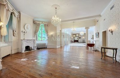 Castle for sale 31000 Toulouse, Occitania, Ballroom