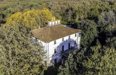 Historic Villa Pontedera, Tuscany