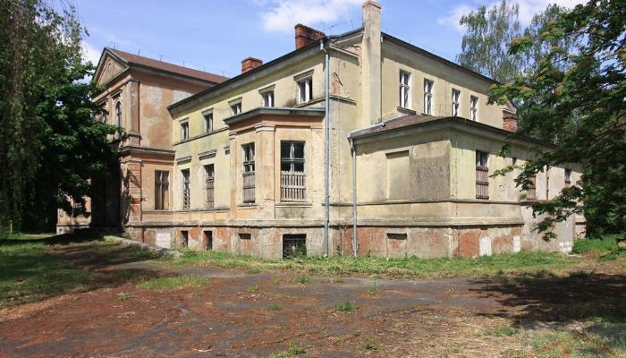 Manor House Strzyżno 1