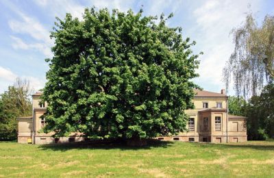 Manor House for sale Strzyżno, Pałac w Strzyżnie, West Pomeranian Voivodeship, Front view